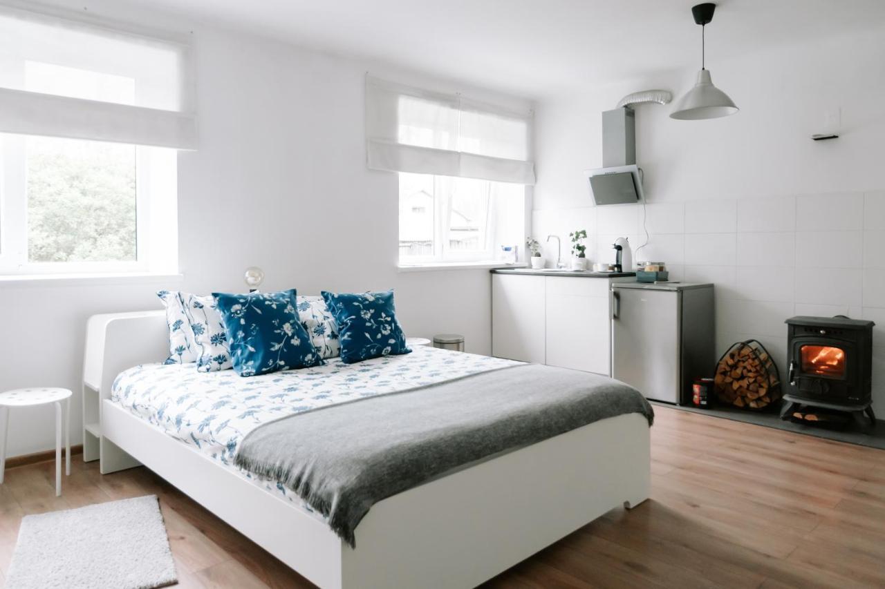 Lake Aluksne Studio Apartment Bagian luar foto