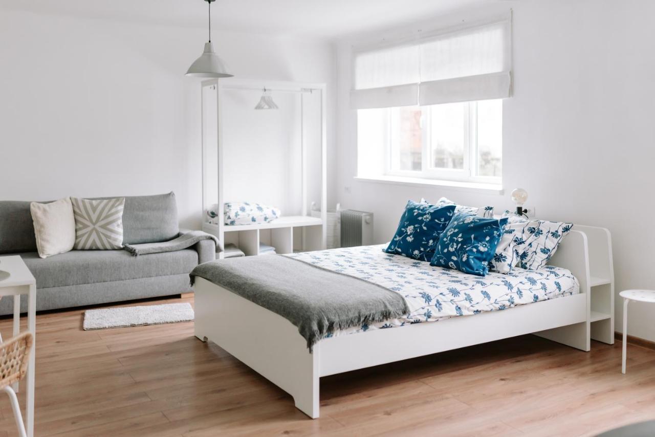 Lake Aluksne Studio Apartment Bagian luar foto