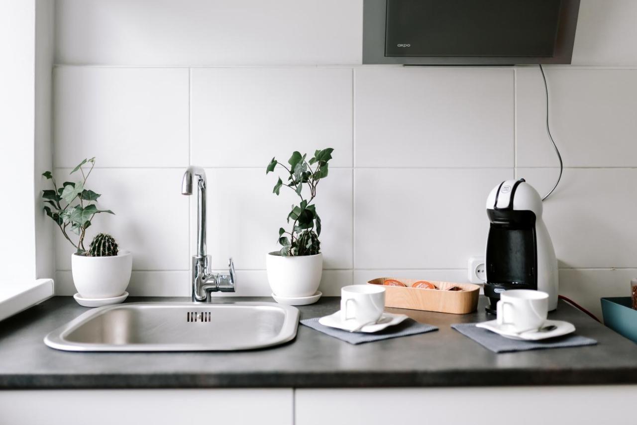 Lake Aluksne Studio Apartment Bagian luar foto