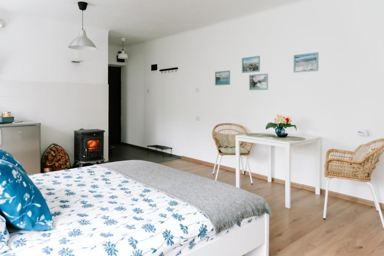 Lake Aluksne Studio Apartment Bagian luar foto