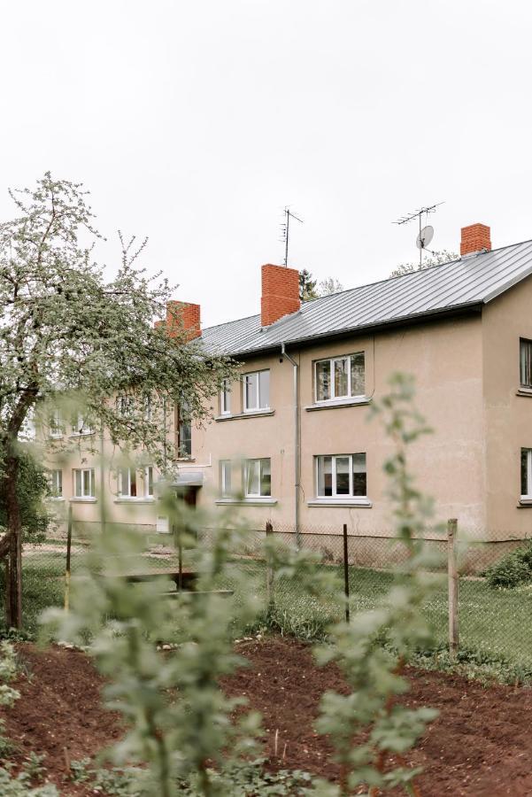 Lake Aluksne Studio Apartment Bagian luar foto